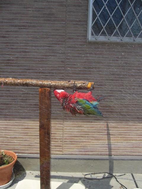 P1080544