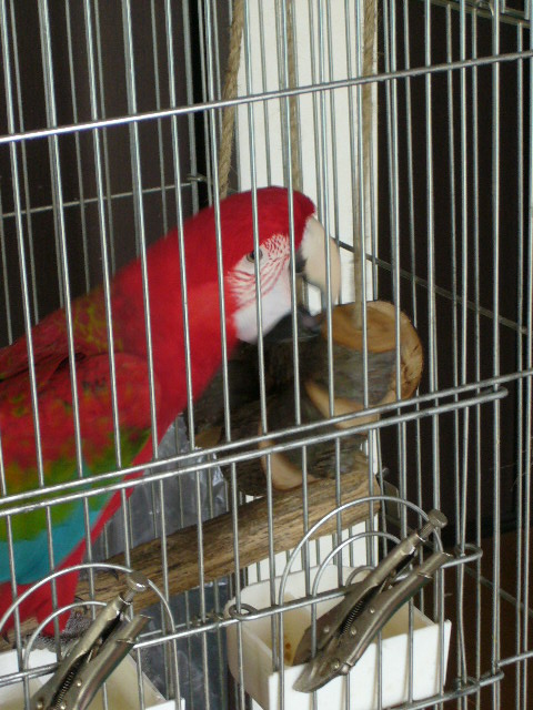 P1080735