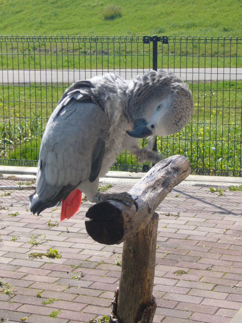 P1080676