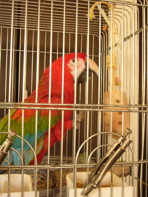 P1080630