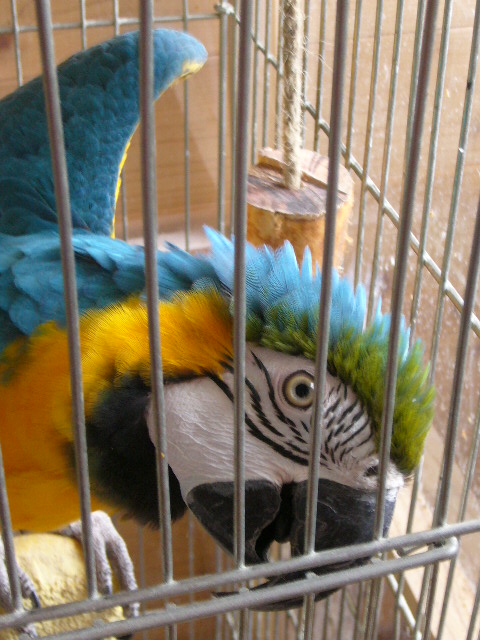 P1080738