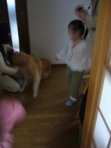 ikeda6[
