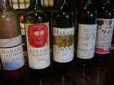 haramo12