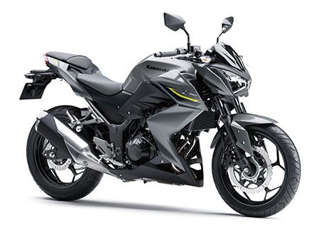 z250_gry
