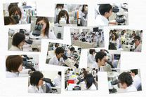 加計学園 細胞病理学研究所