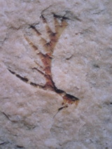 0e6d8126.jpg