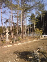 81efbca5.jpg