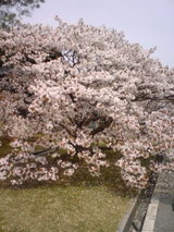 cf695bd1.jpg