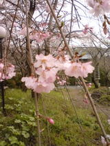 f482363f.jpg