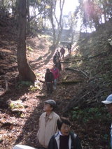 ff446f03.jpg
