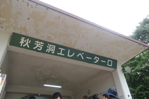 DSCN8505