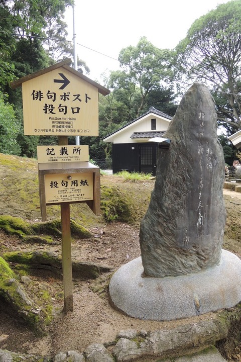 DSCN8626