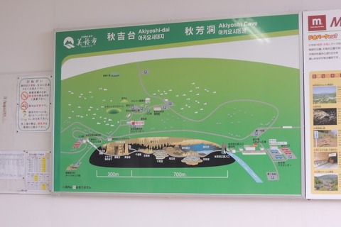DSCN8508