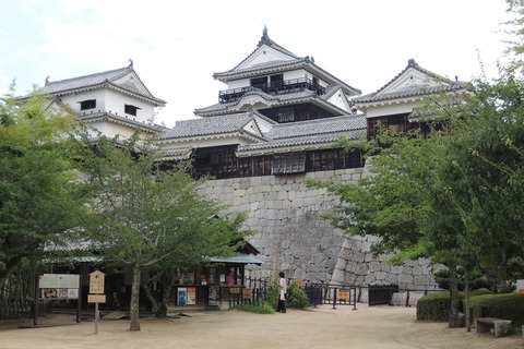 DSCN8631