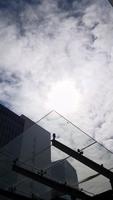 63c465b0.jpg