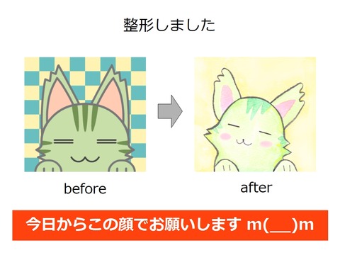 整形しました
