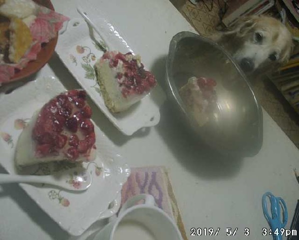 2019-05-03-02