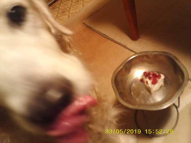 20190503-08