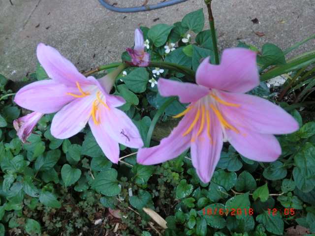 2018-06-18-09