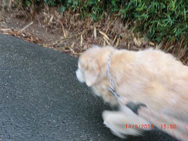 2018-09-14-01
