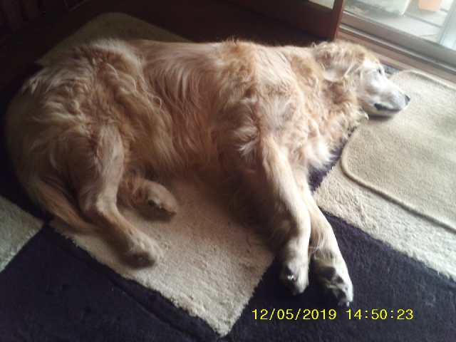 2019-05-12-04