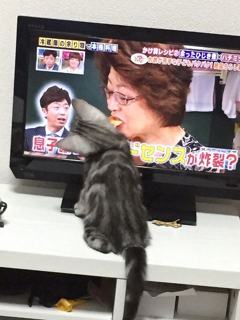 VmN8c9H