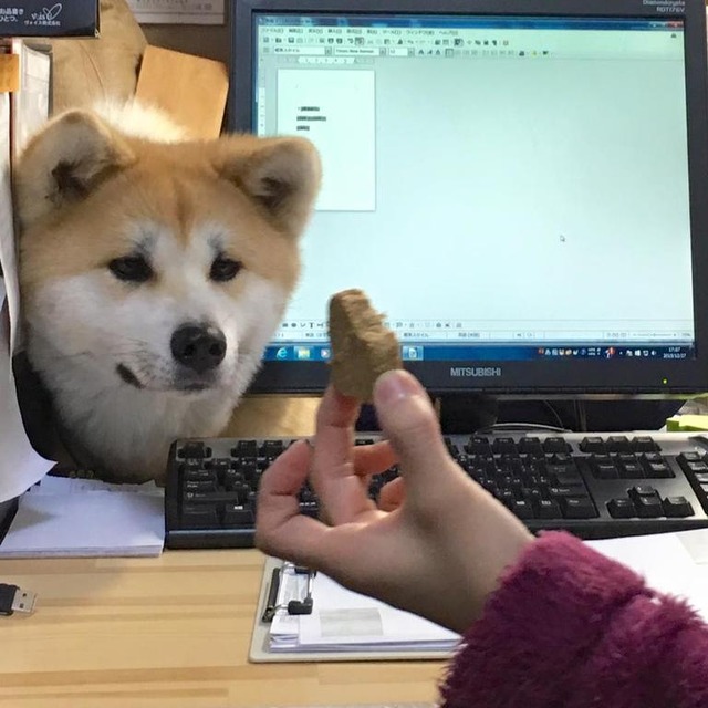 no title