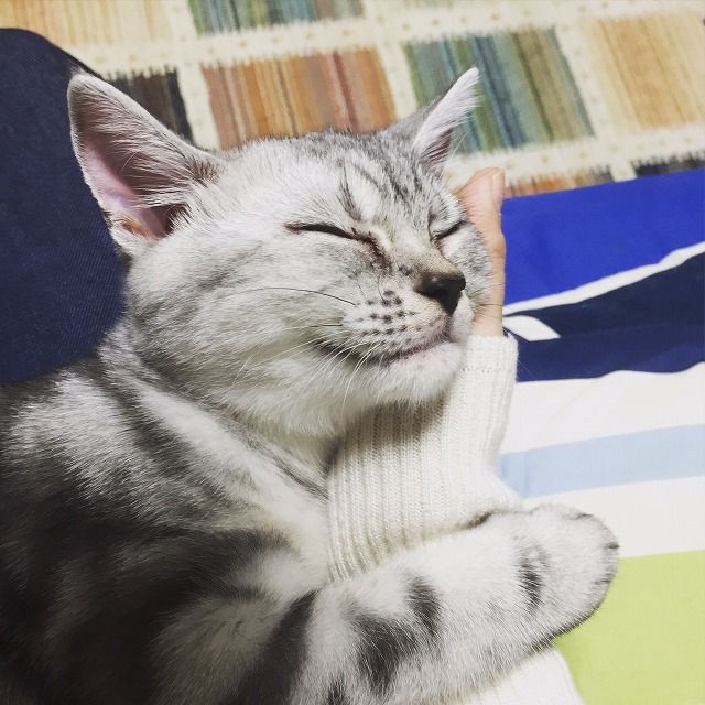 Xn0tPJH