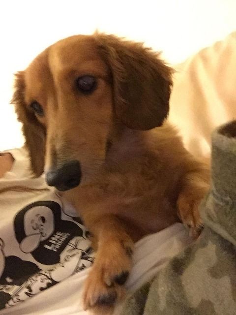 pKleuwh