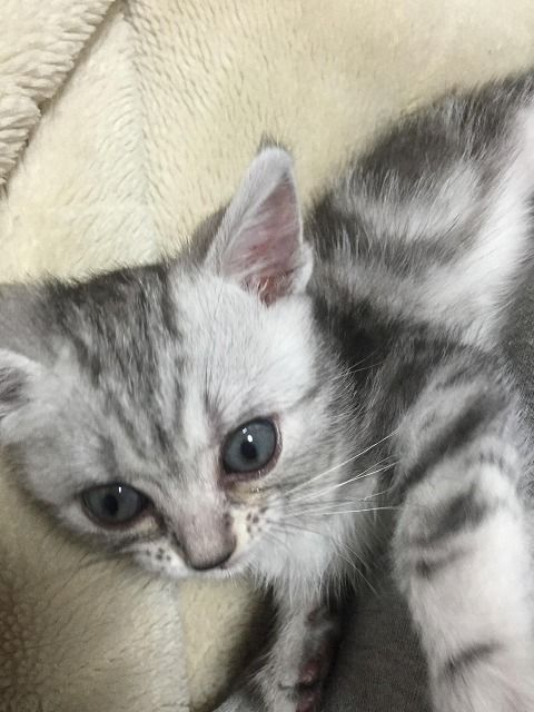 BJNyEE0