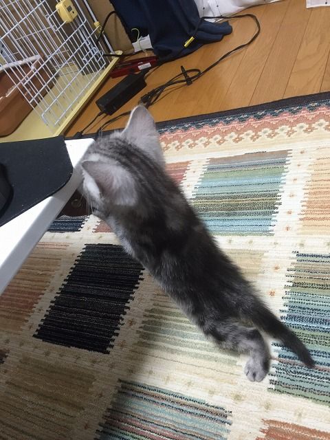 yLWJzPK