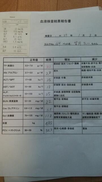 201701血液検査