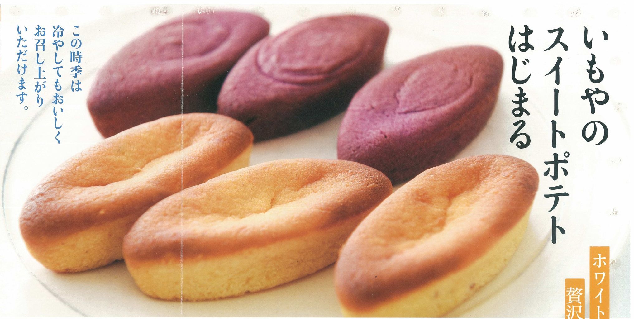 scan-3