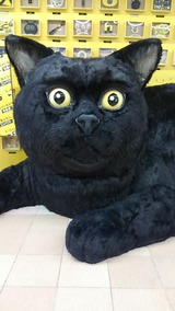 KIMG0201