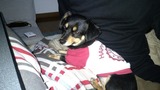 Photo_19-01-19-10-44-12.478