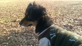 Photo_19-01-19-10-44-16.777