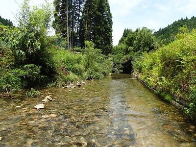 P7150848