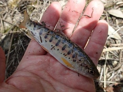 P7150859