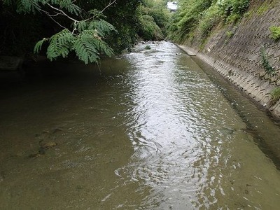 P7150862