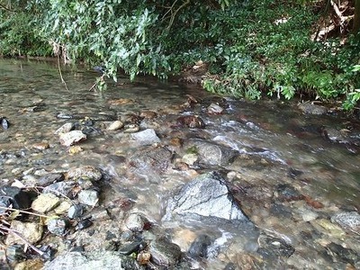 P7150839