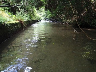 P7150840