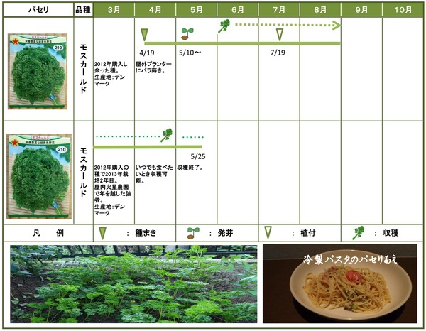 2014年日記8月パセリ