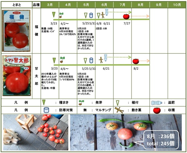 2014年日記8月とまと