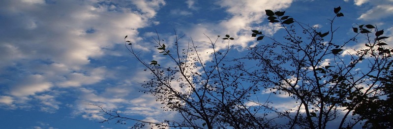 秋空