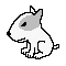 dog3