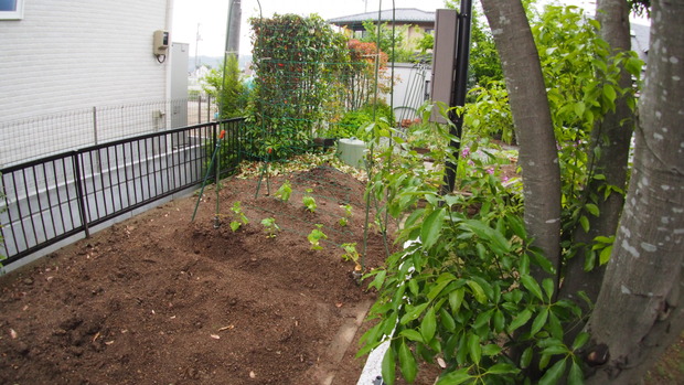 P5311402
