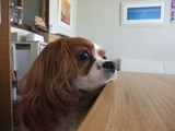 �ϥ뤤����