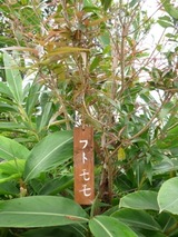 P1000584