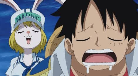images (10)