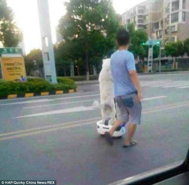 ۑō̉摜]ڂX 378 []ڋ֎~]©bbspink.com	xvideo>1{ YouTube>12{ ->摜>986 